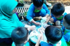 IMG-20160202-WA0010