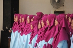 thumbs_IMG_9971