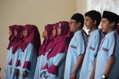thumbs_IMG_9991